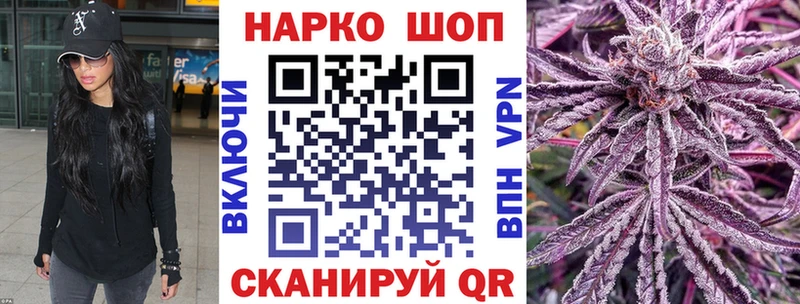 Где можно купить наркотики Шуя Каннабис MEGA сайт ГАШ Cocaine