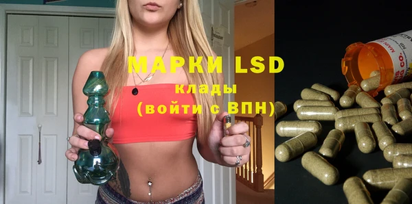PSILOCYBIN Алзамай