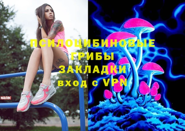 кокс Алексеевка