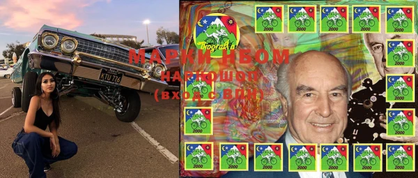 PSILOCYBIN Алзамай