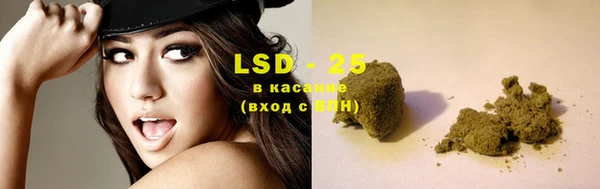 PSILOCYBIN Алзамай