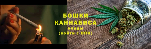 PSILOCYBIN Алзамай
