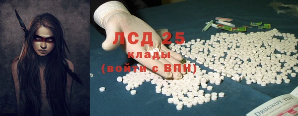 PSILOCYBIN Алзамай
