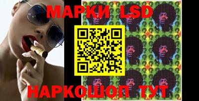 стаф Сланцы