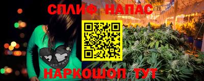 стаф Сланцы