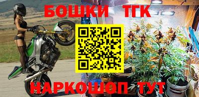 винт Славгород