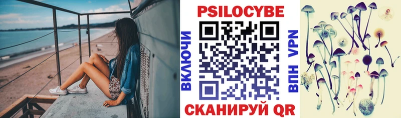 Псилоцибиновые грибы Psilocybine cubensis  как найти закладки  Шуя 