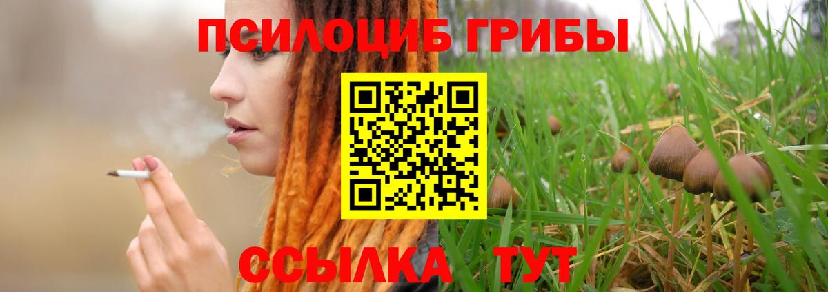 Шуя  Псилоцибиновые грибы Psilocybine cubensis  Галлюциногенные грибы мухоморы  Вход с VPN 
